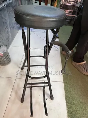 Guitar Stand With Seat