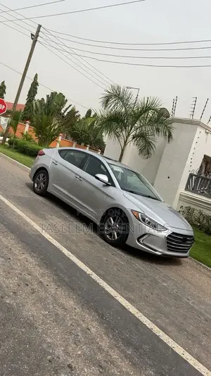 Hyundai Elantra 2018 Gray