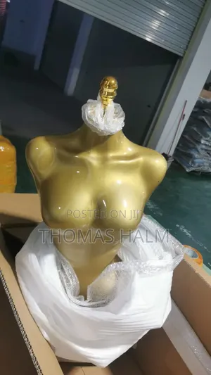 Mannequinx