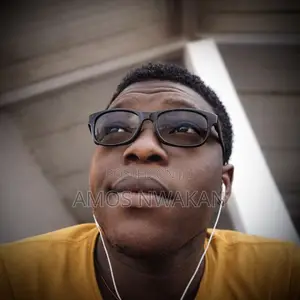 Tiktok Live Streamer