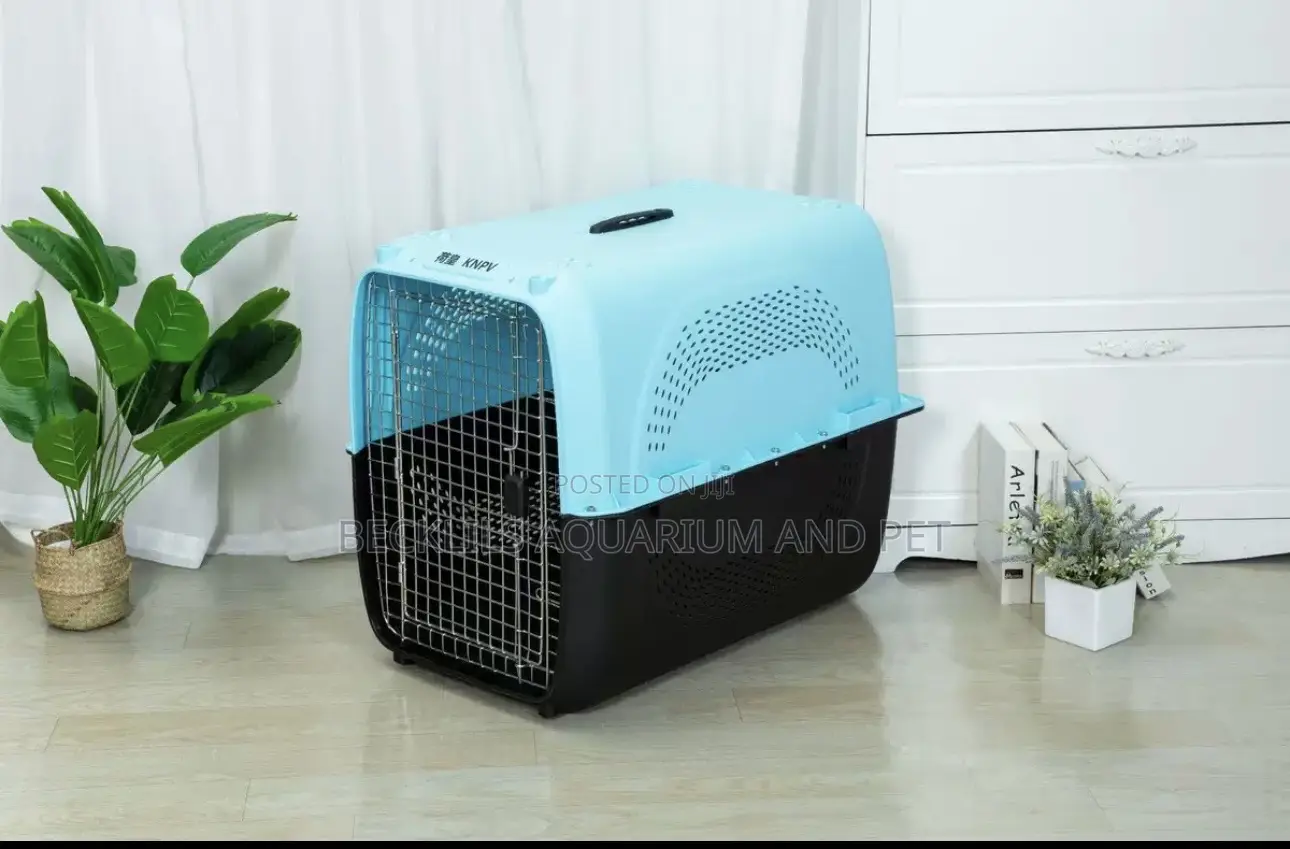 KLM Plastic Dog Cage ( Large)