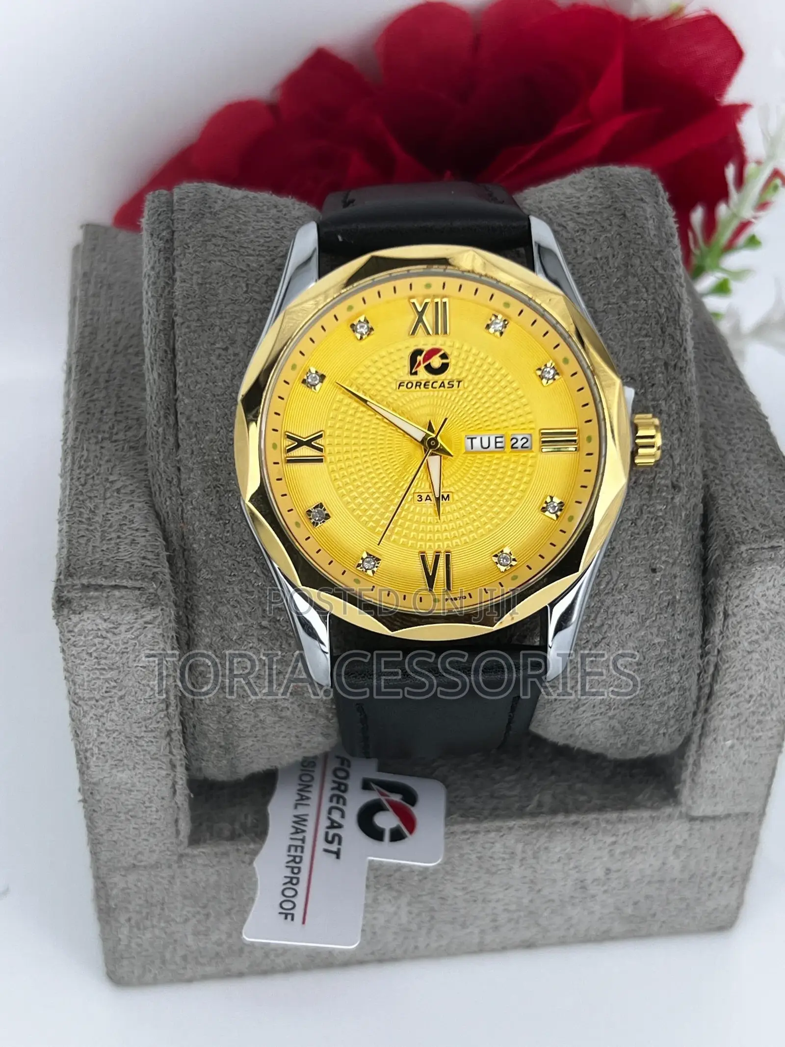 Forecast Leather Watch