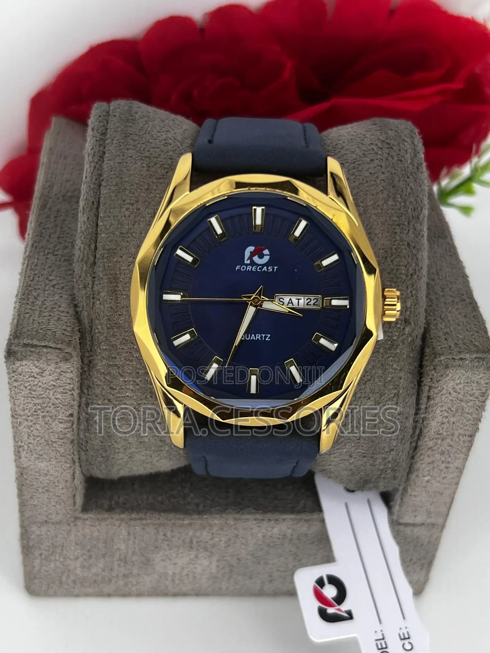 Forecast Leather Watch