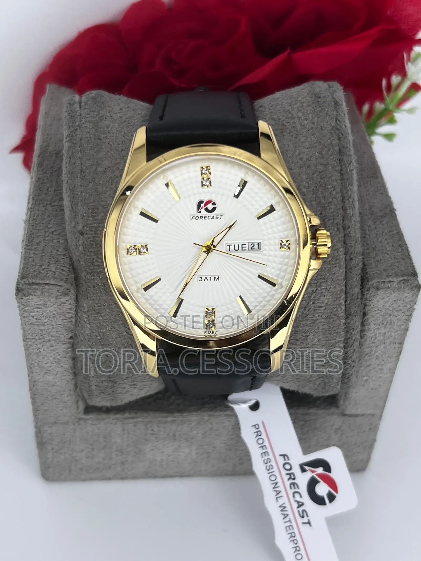 Forecast Leather Watch