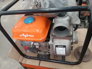 Apsonic Agbon Water Pump