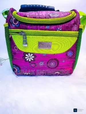Lunch Bag (Lnsulated )