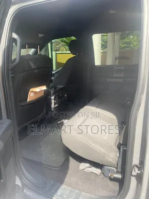 Ford F-150 2020 Gray