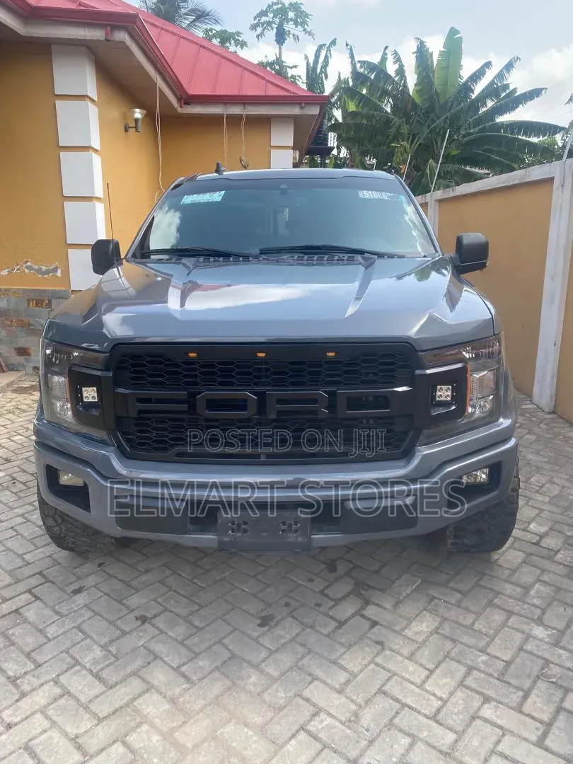 Ford F-150 2020 Gray