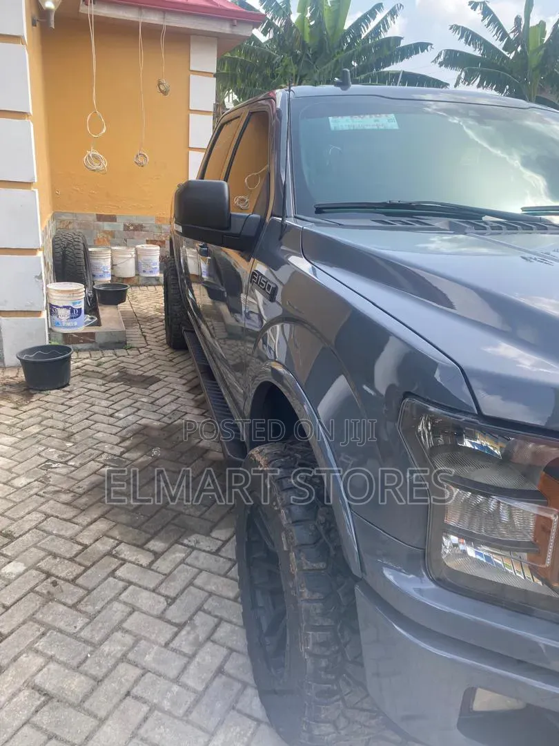 Ford F-150 2020 Gray