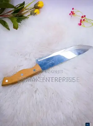 Advance Stainless Steel Knife