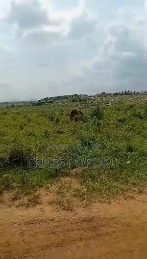Amasaman Ashalaja- Hobor