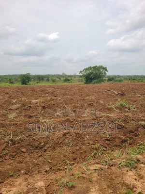 2000 Acres of Farm Land for Long-Term Lease