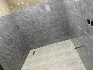 Professional Tiling Master
