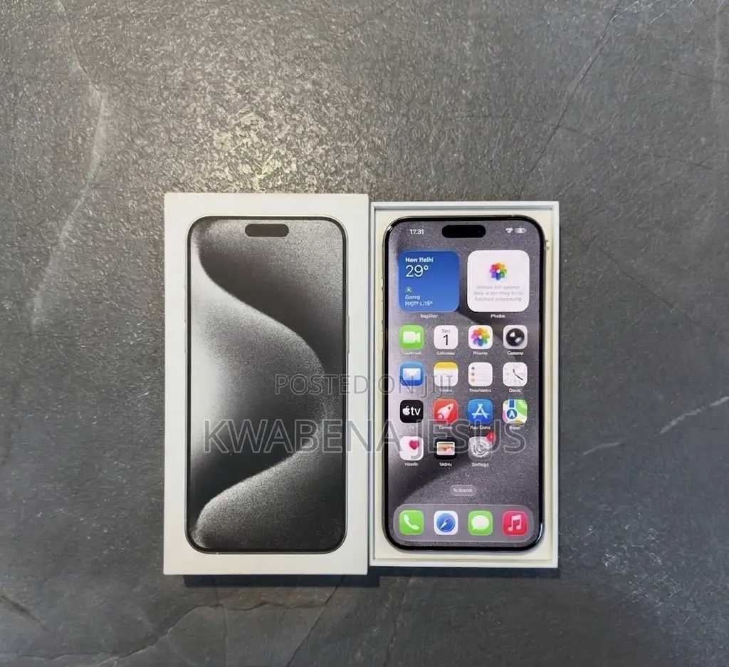 Apple iPhone 15 Pro Max 256 GB Silver