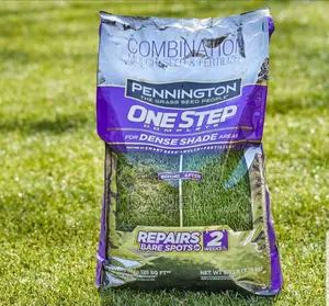 Grass (Lawn) Seeds