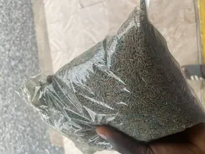 Grass (Lawn) Seeds