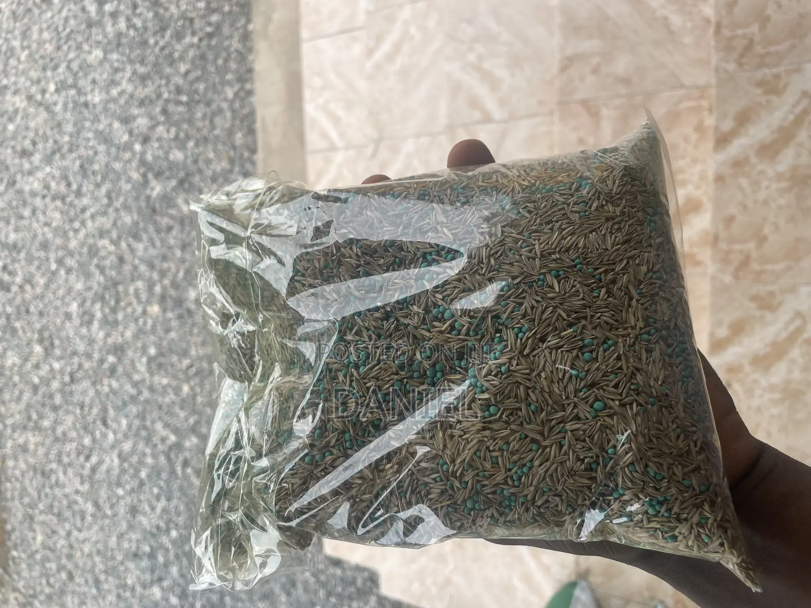 Grass (Lawn) Seeds