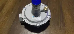 Low Pressure Gas Regulator