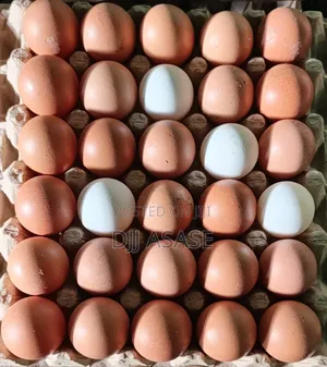 Farm Fresh Eggs
