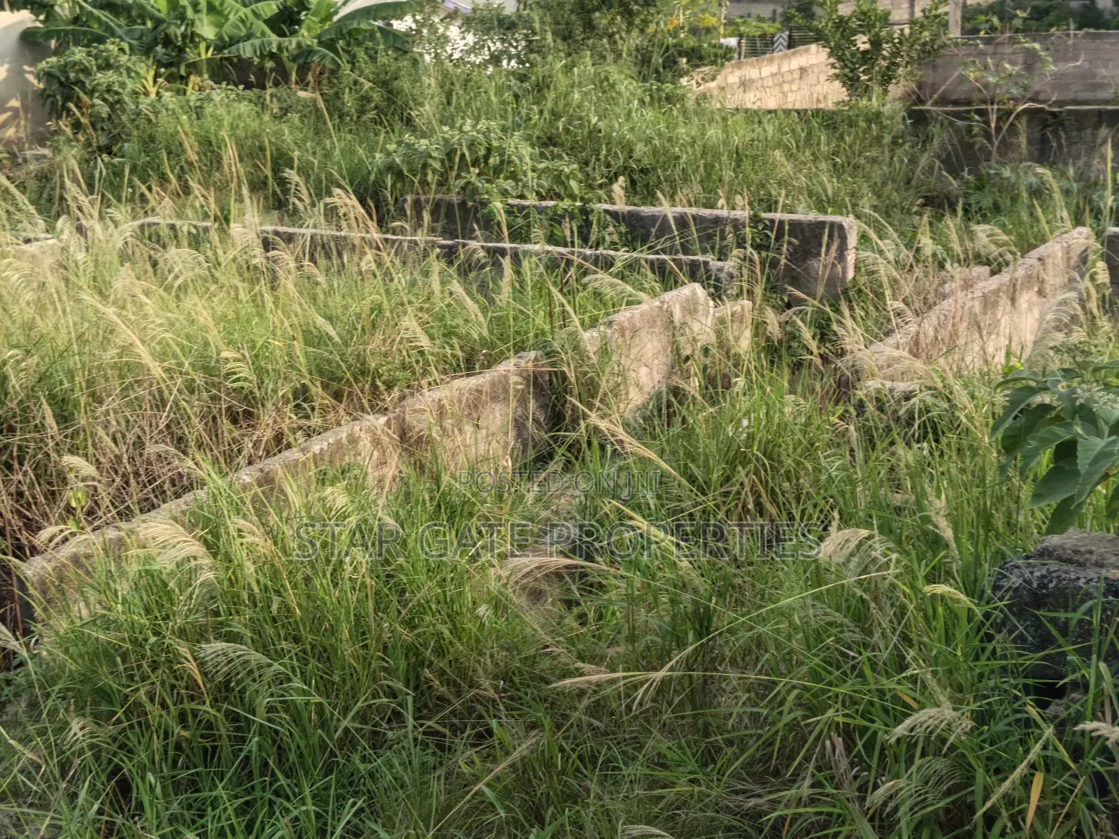 Plot for Sale at Buobai