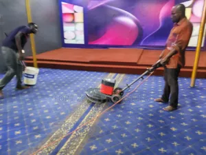 In and Out Carpet Cleaning With Cleantex