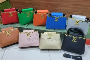 Ladies Hand Bag
