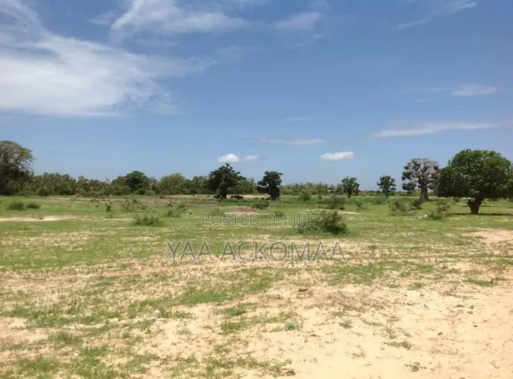 Land For Sale At Nsawam Amanfrom -genuine Title, Fast Developing Area