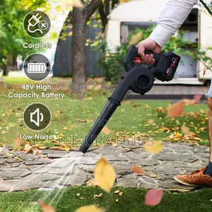 48v Cordless Mini Blower Machine
