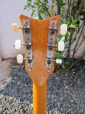 The Riviera Epiphone Vintage Lp Guitar