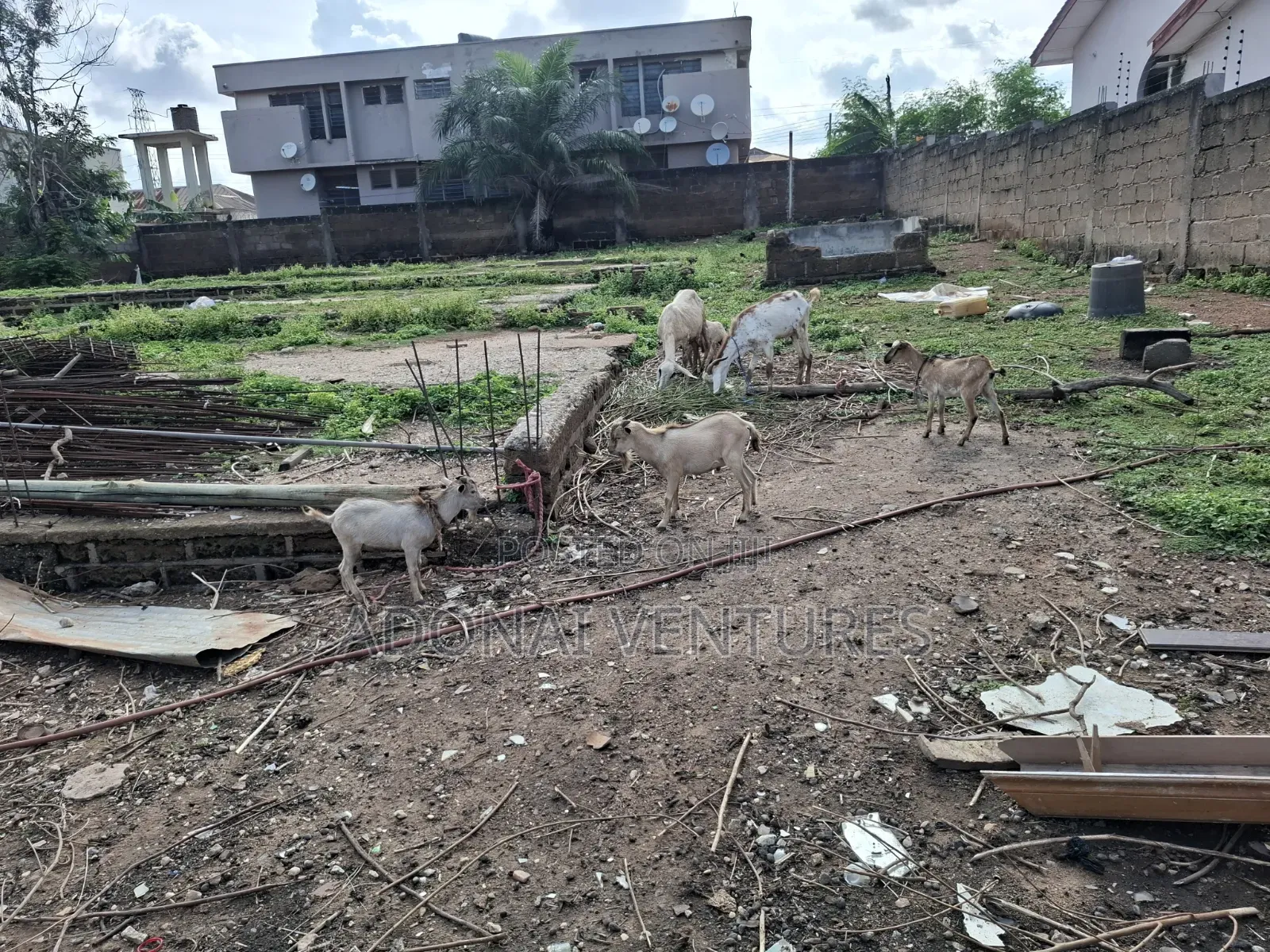 One Full Plot of Land for Sale in Ahodwo