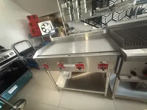 Commercial Stainless Steel Standing Gas Grill