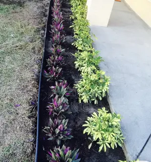 Gardening Maintenance
