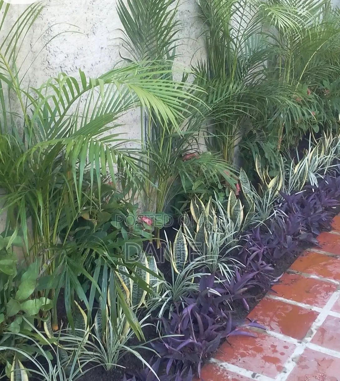 Gardening Maintenance