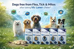 Dog Tick and Flea Chewable Tablets