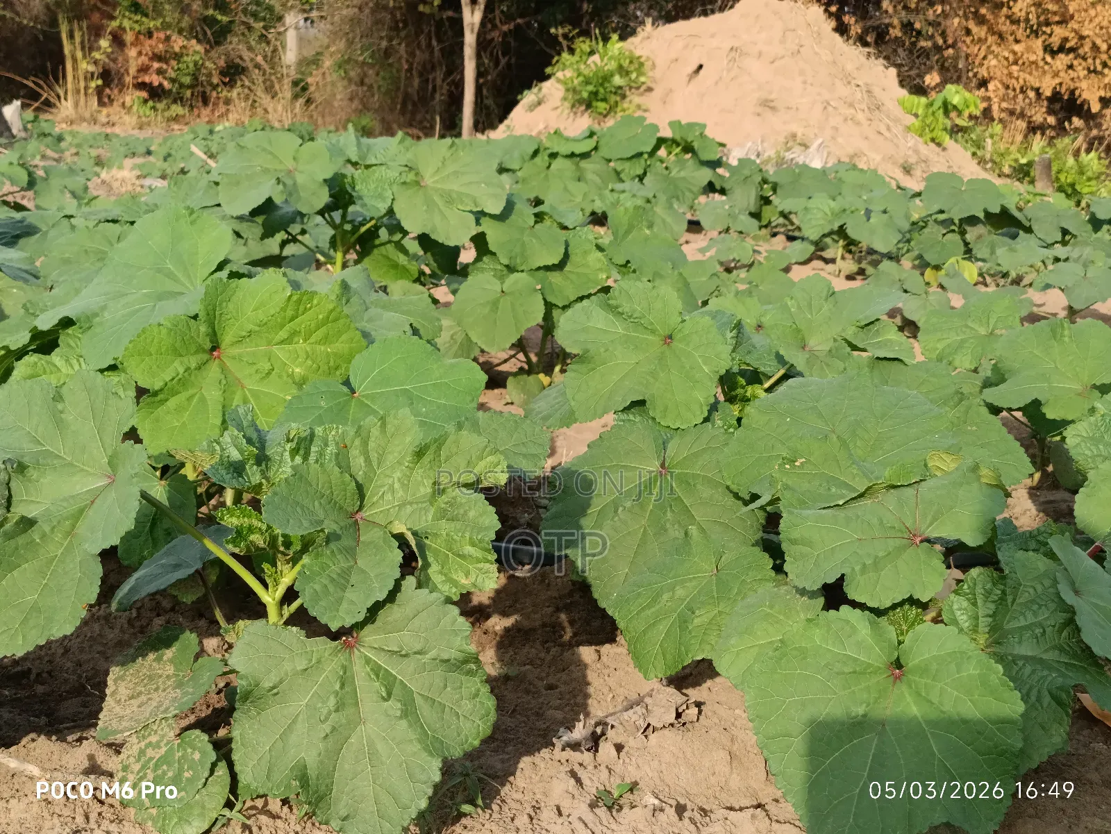 1/2 Acre 1 Acre Complete Drip Systems - Maximize Your Yield!