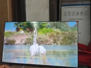 TCL 43” Smart Tv – Immersive Viewing Experience