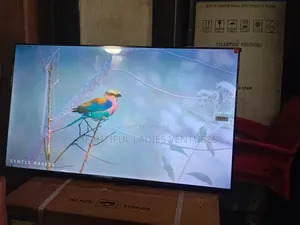 TCL 43-Inch Full Hd Smart Television – Entertainment Redefined
