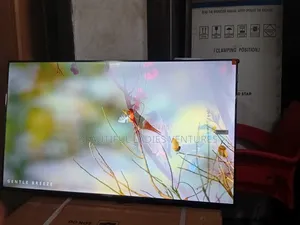 TCL 43-Inch Led Tv – Affordable Premium Viewing