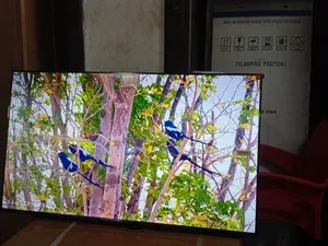 TCL 43-Inch Full Hd Tv – Clear, Bright Reliable