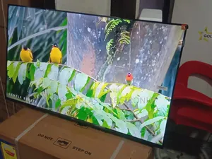 TCL 43-Inch Qled Smart Tv, Tv That Brings Life Into Every Pixel