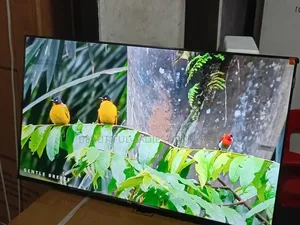 TCL 43-Inch Digital Tv – Stunning Picture Sound