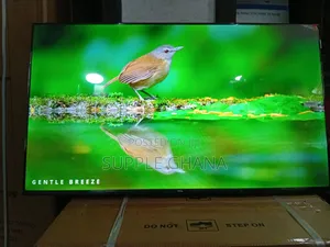 TCL 43-Inch Tv – Sharp Picture, Smart Features