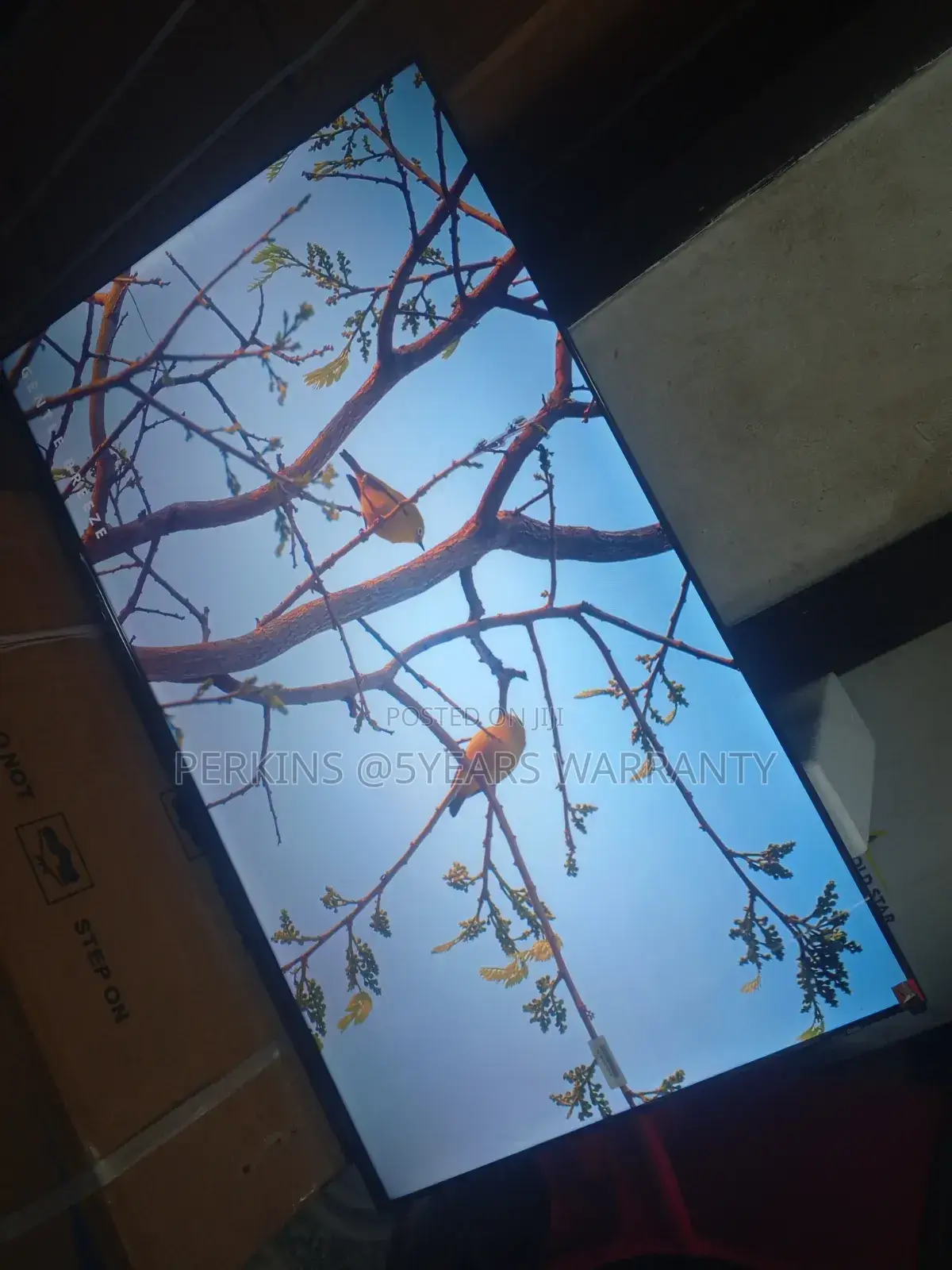 TCL Android 43" Smart Television