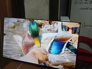 TCL 43-Inch Television – Enjoy Cinema at Home