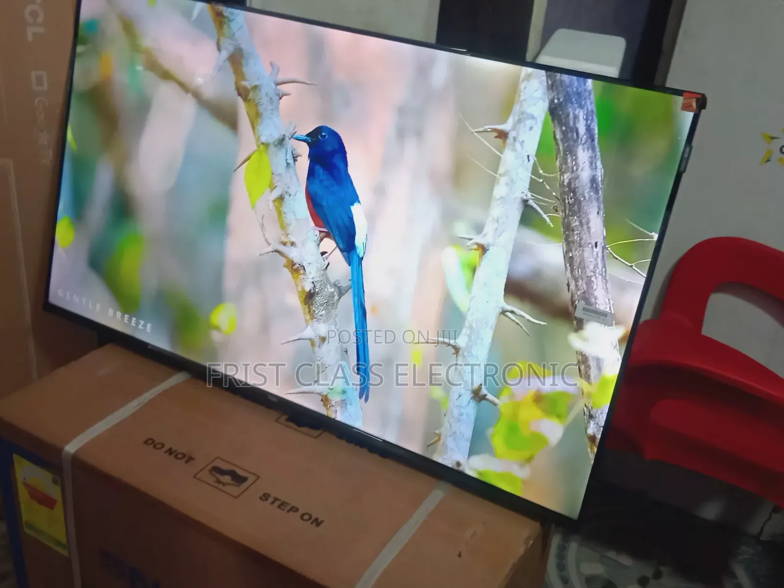 TCL 43-Inch Qled Smart Tv, Tv That Makes Detail Impossible to Ignore