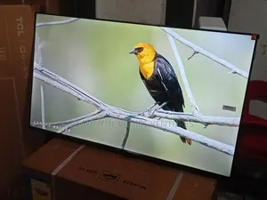 TCL 43-Inch Hd Tv – Clear Images, Powerful Sound