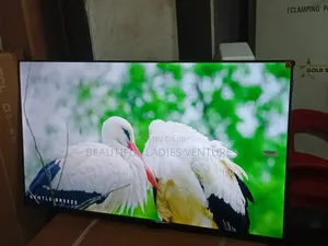 TCL 43-Inch Android Smart Tv – Endless Entertainment Options