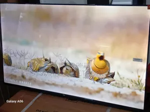 Enjoy Limitless Entertainment With TCL 43-Inch Tv