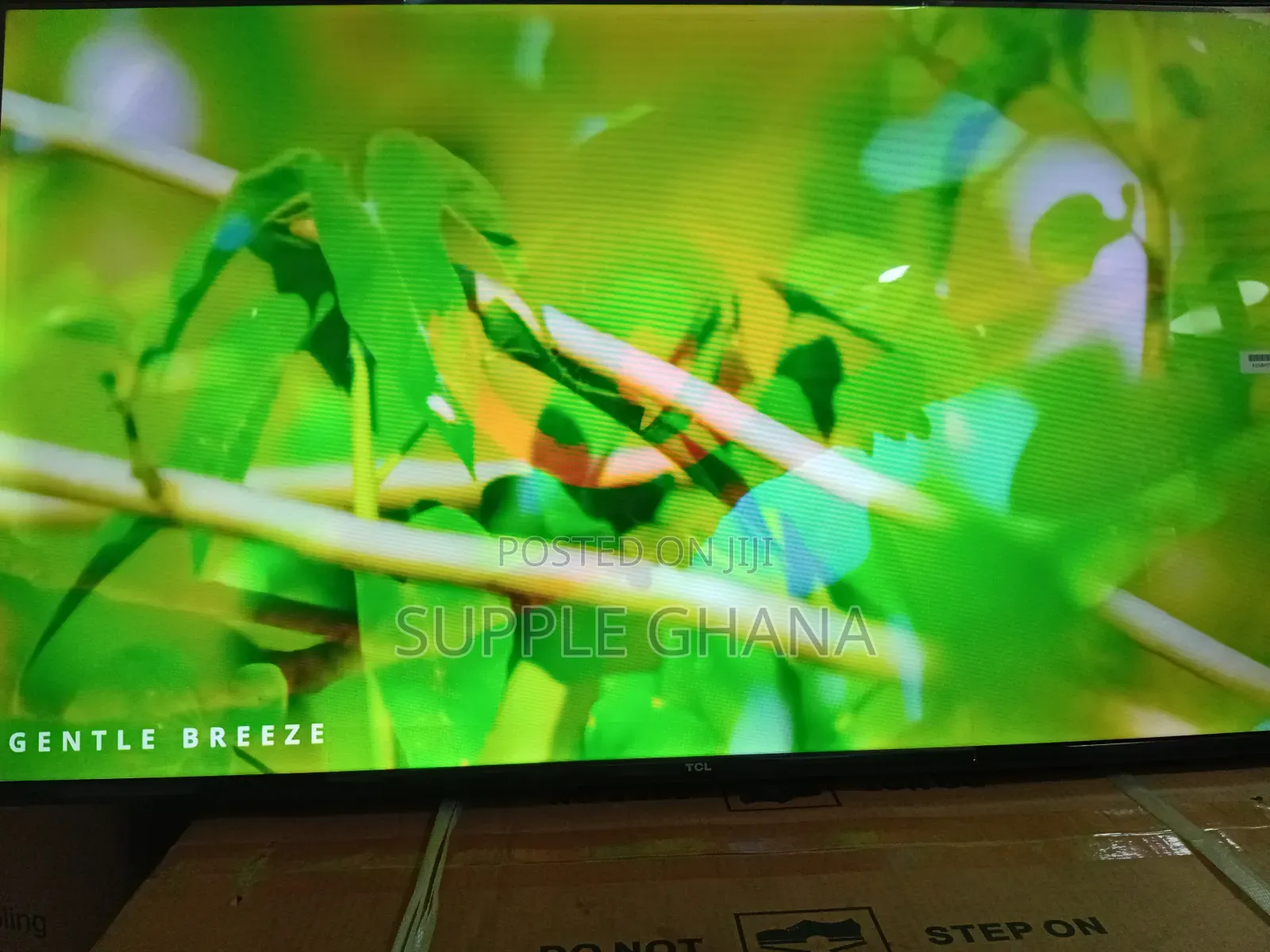 TCL 43-Inch Television – Crisp, Clear, and Smart
