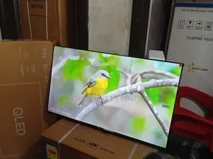 TCL 43-Inch Tv – Perfect Size for Any Room